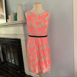 LOFT embroidered dress ivory pink floral NEW Sz 10